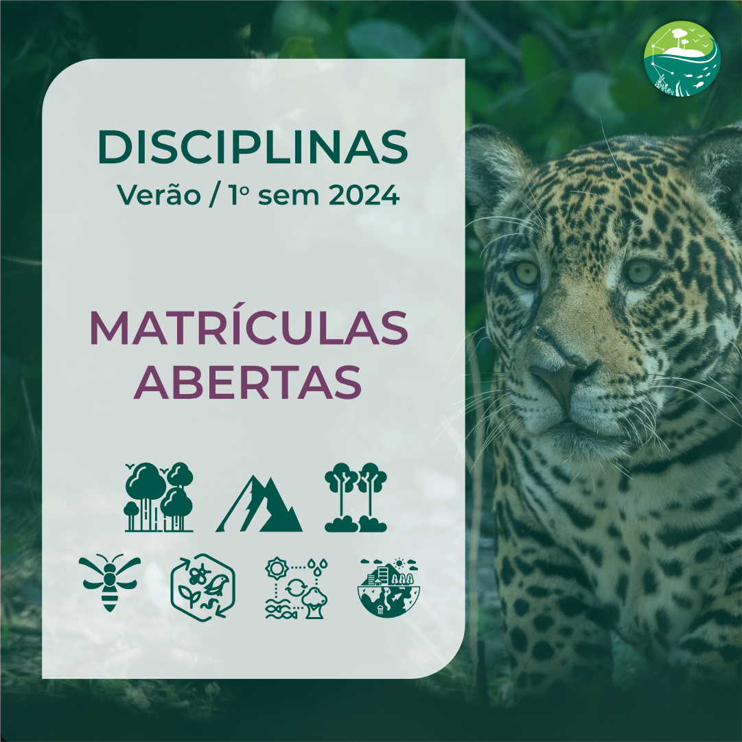 Read more about the article Matrículas abertas